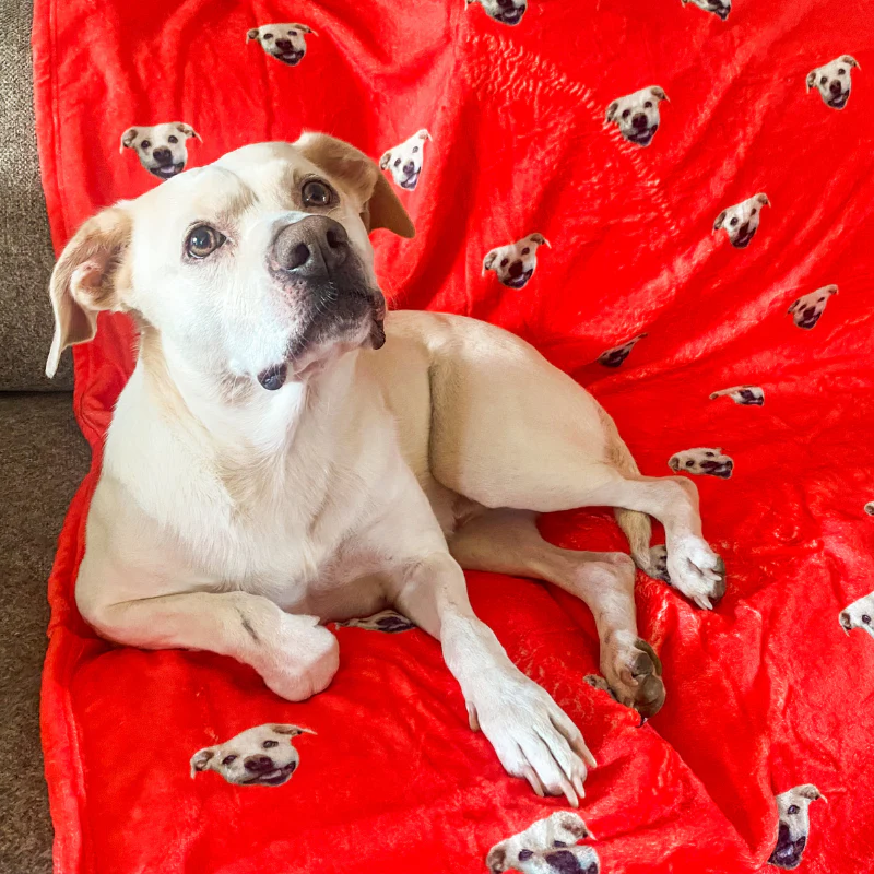 Custom Blanket - Image 5